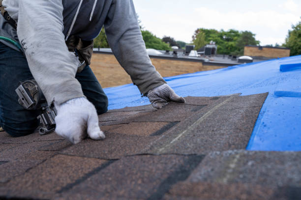 Best Gutter Installation and Roofing  in Fairmount Heights, MD